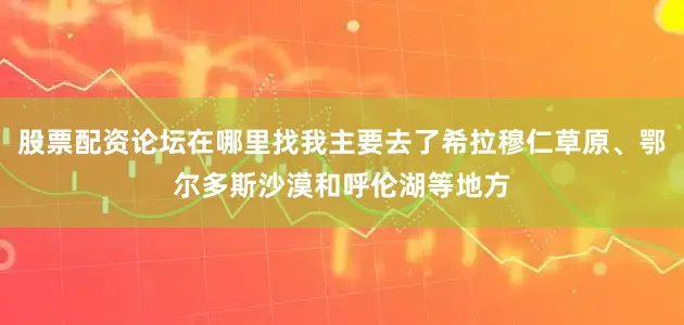 股票配资论坛在哪里找我主要去了希拉穆仁草原、鄂尔多斯沙漠和呼伦湖等地方